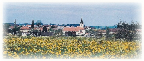 Eisenharz