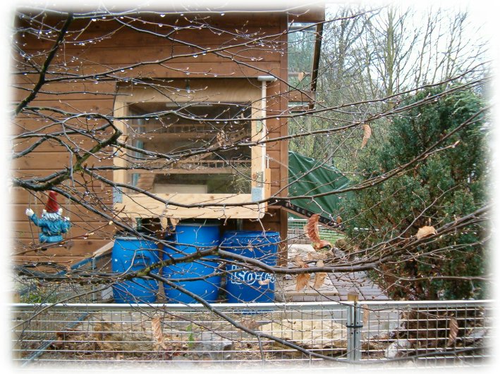 Ist die Zicke aus dem Haus, baut der Ruedi ein Meersäuli-Haus